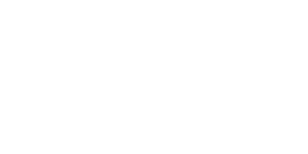 Parceiro 2